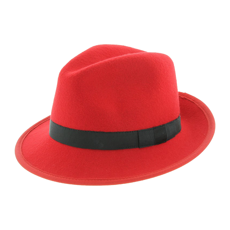 FEDORA Hat